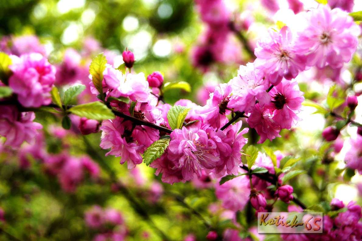 �������� ����������� ����� ������ ����� �� PhotoGeek.ru #������ ��� �������