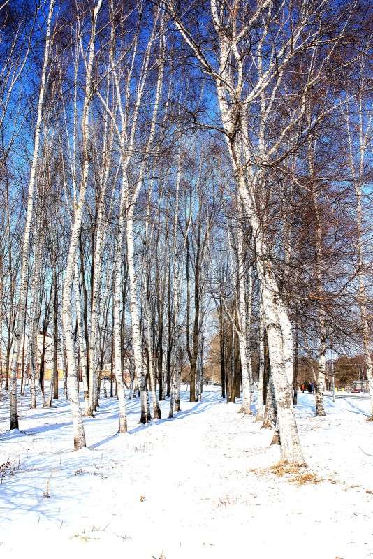 ... ����� ������ ����� �� PhotoGeek.ru #������ ��� �������