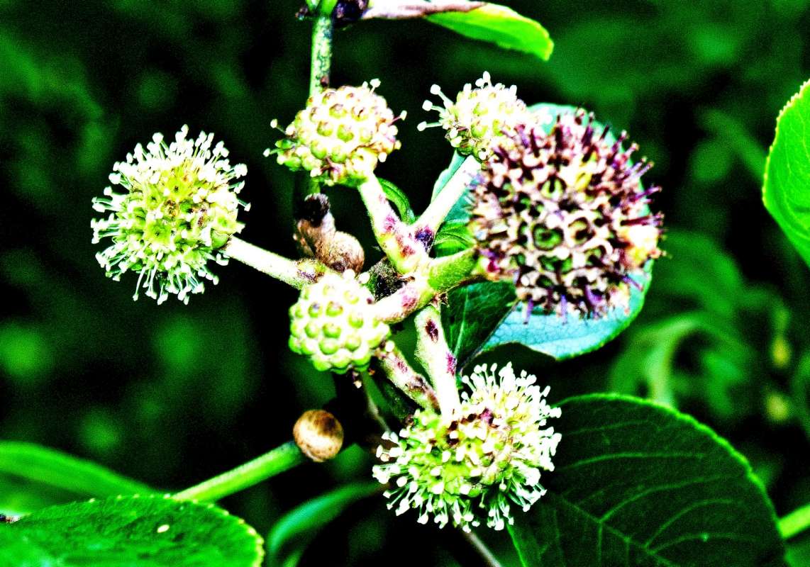 ��� ������ ������������ ����� ������ ����� �� PhotoGeek.ru #������ ��� �������