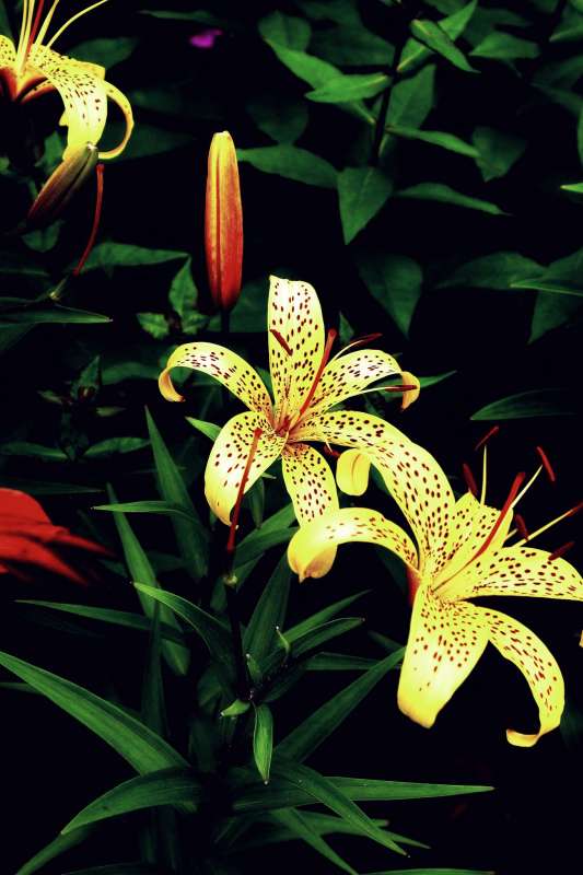 ������ �������� �����-2 ����� ������ ����� �� PhotoGeek.ru #������ ��� �������