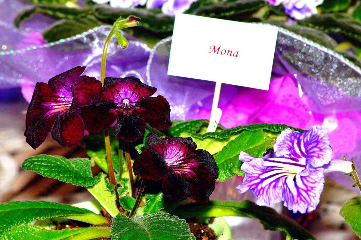 ... ����� ������ ����� �� PhotoGeek.ru #�������� ����������