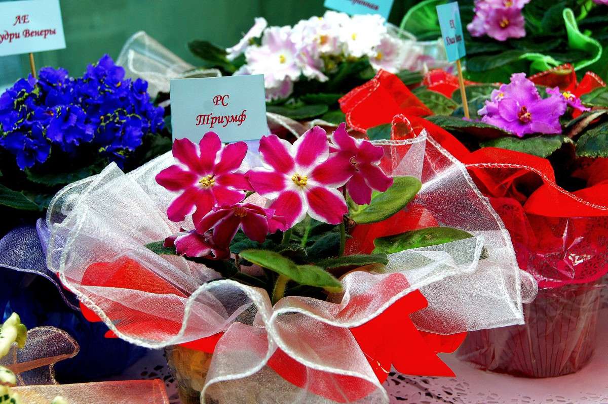 ����������� ������ ����� ������ ����� �� PhotoGeek.ru #�������� ����������