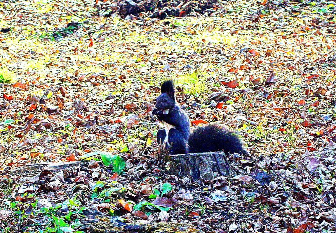 ... ����� ������ ����� �� PhotoGeek.ru #������ ��� �������