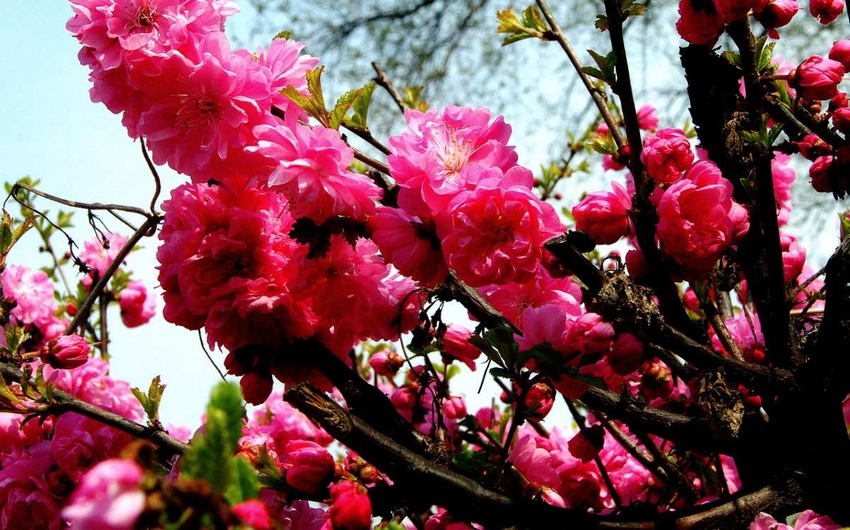 ... ����� ������ ����� �� PhotoGeek.ru #�������� ����������