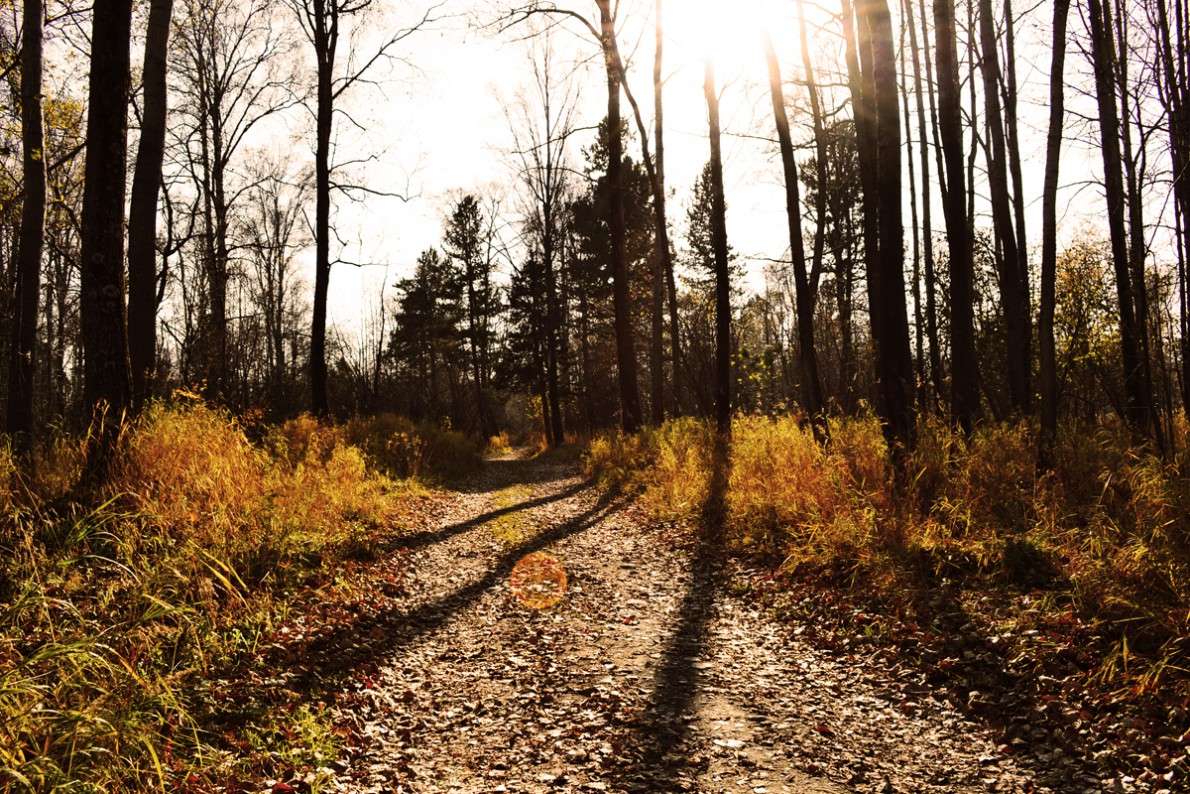 ... ����� ����� ����� �� PhotoGeek.ru #������ ��� �������