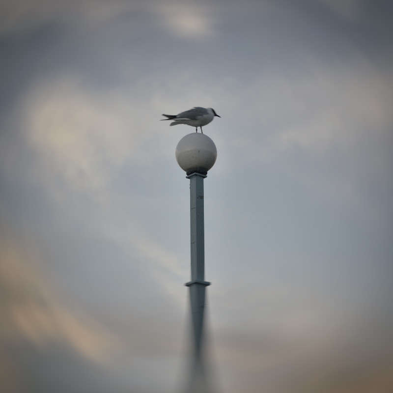 ... ����� ����� ����� �� PhotoGeek.ru #�������� ���������� #���������������