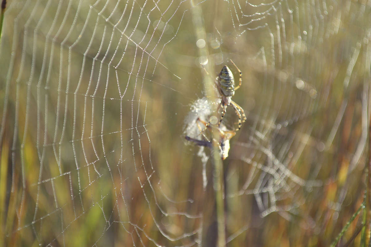 ... ����� ����� ����� �� PhotoGeek.ru #�������� ��� #����� ��� ��� ���������