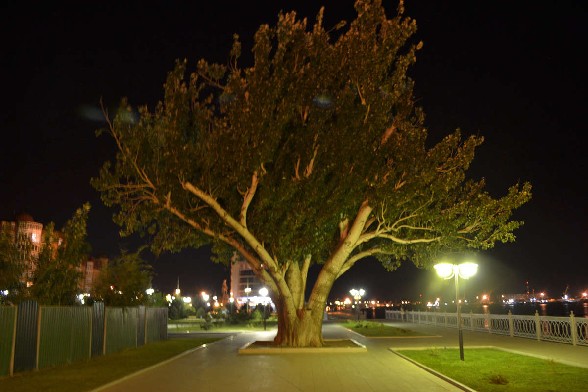 ... ����� ����� ����� �� PhotoGeek.ru #�����