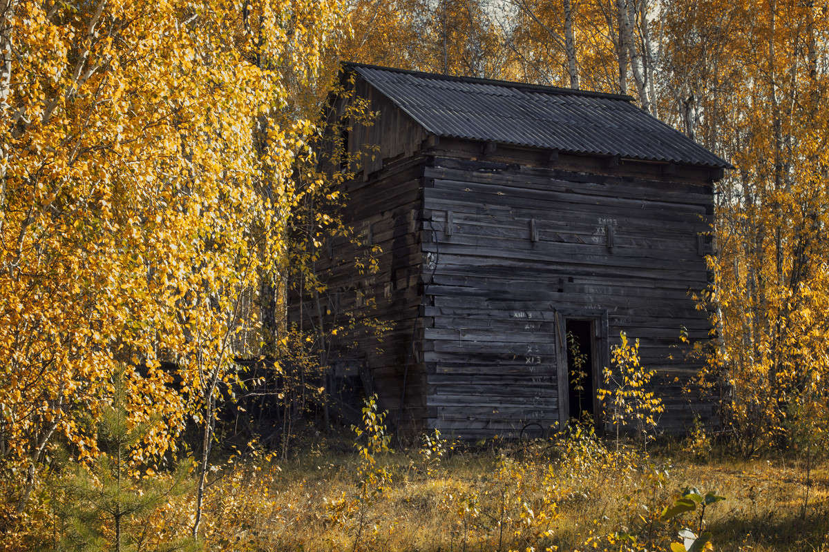 ��� � ���� ����� ����� ����� �� PhotoGeek.ru #������ ��� ������� #�����������