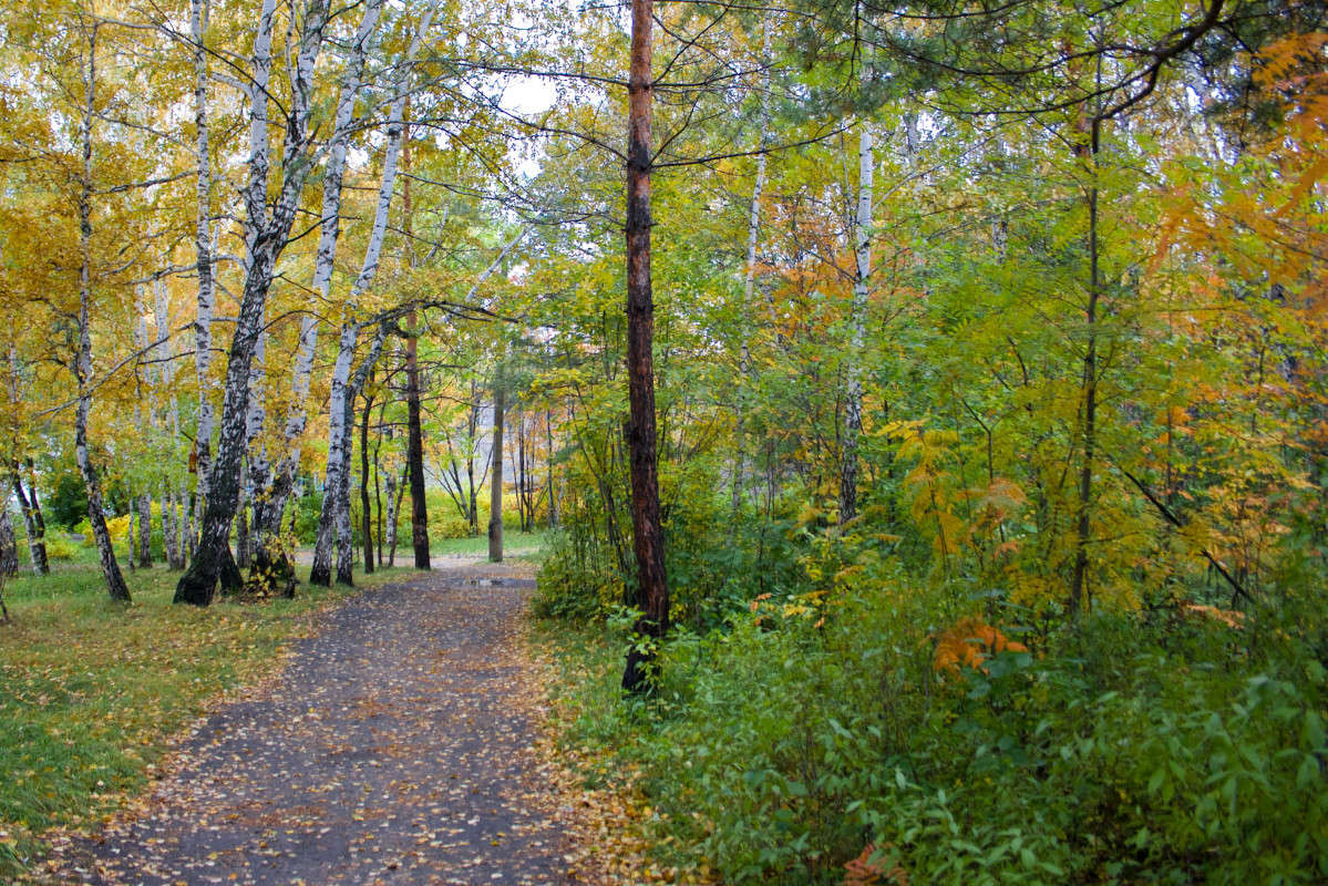 ... ����� �����  �� PhotoGeek.ru #������ ��� �������