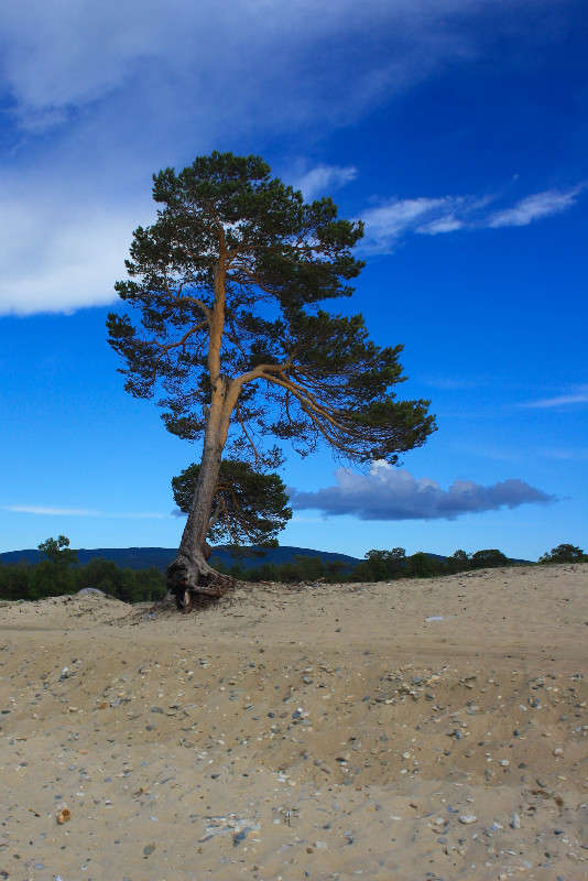 ... ����� �����  �� PhotoGeek.ru #������ ��� �������