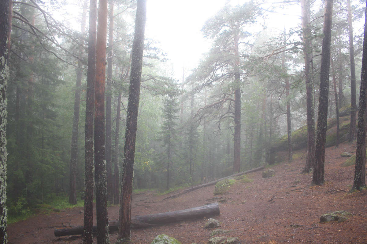 �����-���������� ������. ����� �����  �� PhotoGeek.ru #������ ��� �������