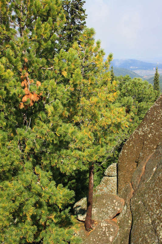 �����-���������� ������. ����� �����  �� PhotoGeek.ru #������ ��� �������