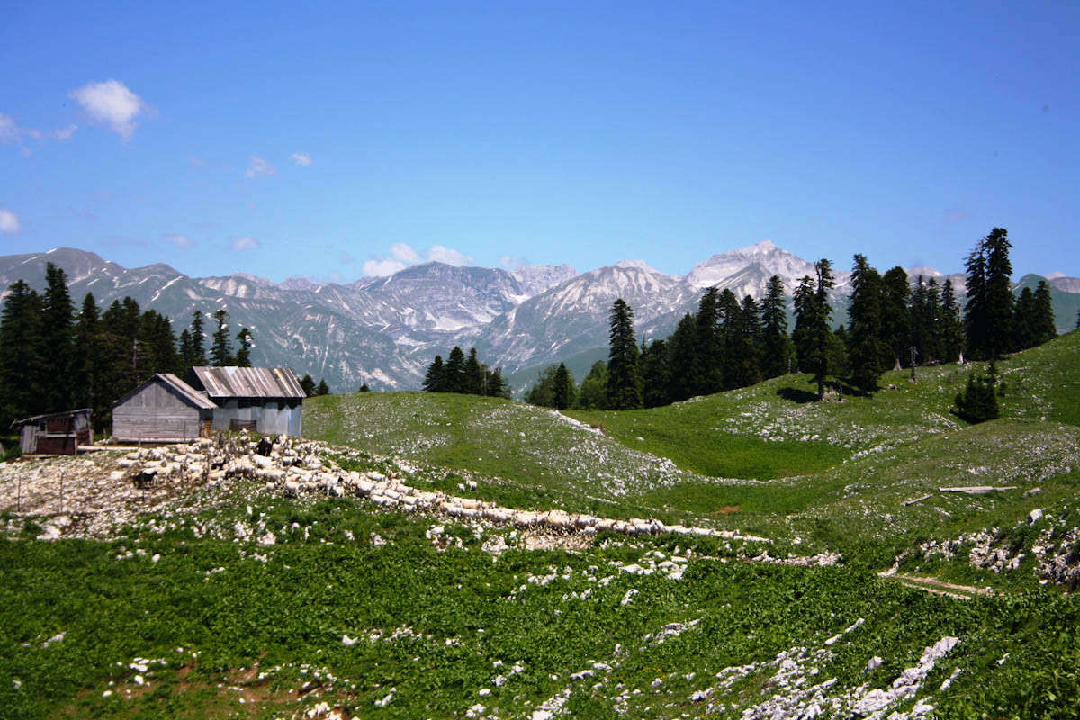 �������� ����� �����  �� PhotoGeek.ru #������ ��� �������