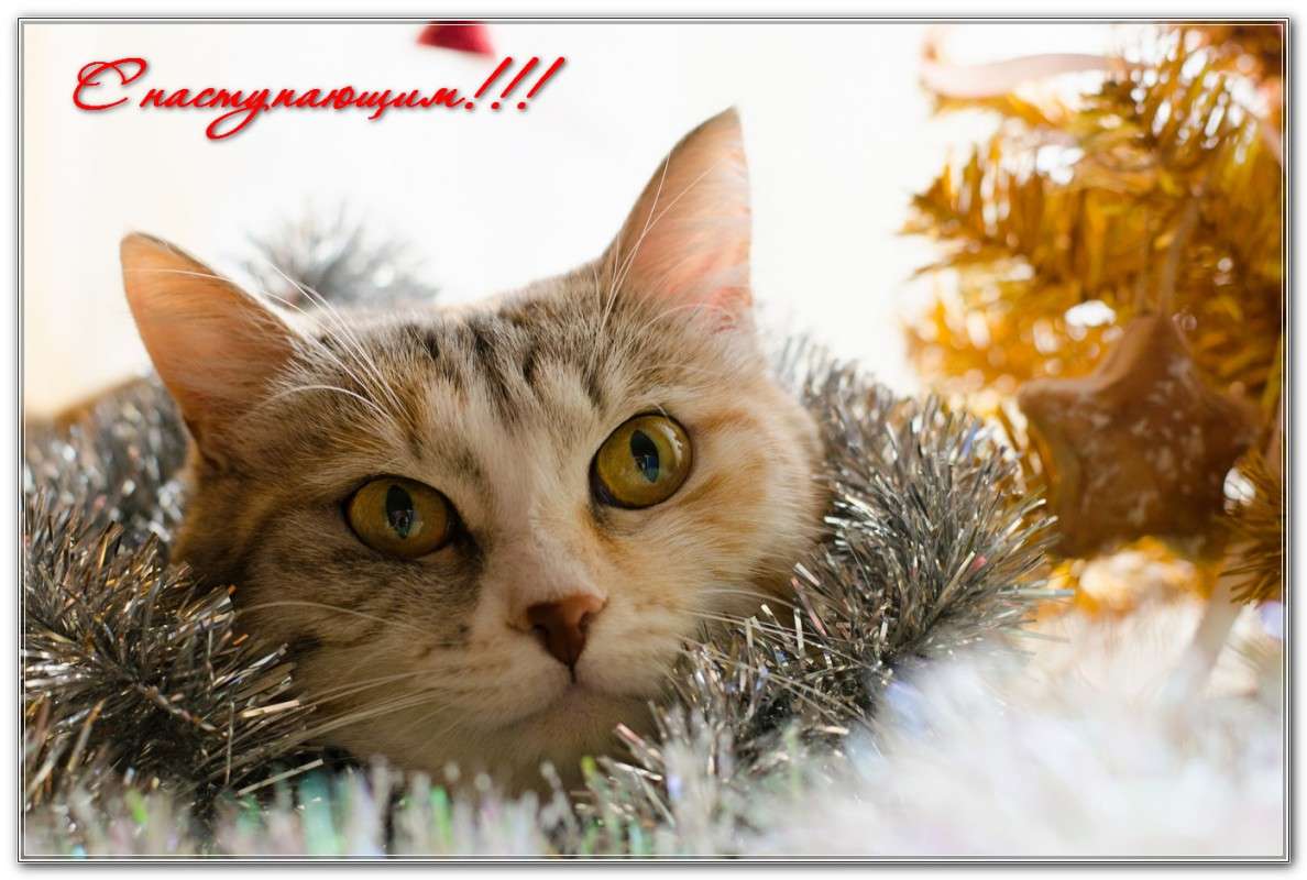 ������� ����� ����� ��������� �� PhotoGeek.ru #�������� ���