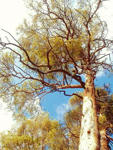 ... ����� ������ �������� �� PhotoGeek.ru #������ ��� ������� #����� ��������������