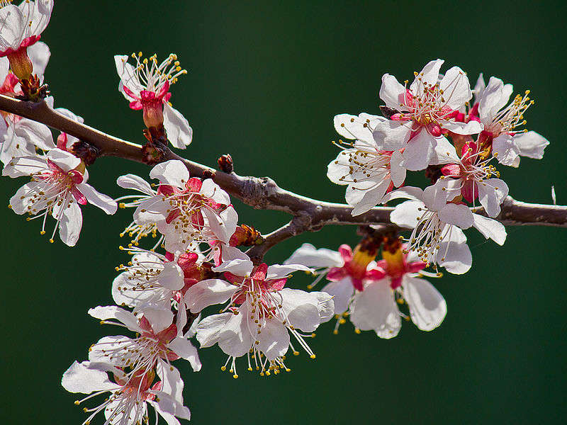 ����� ����� ����� ���� ������������ �� PhotoGeek.ru #������ ��� �������