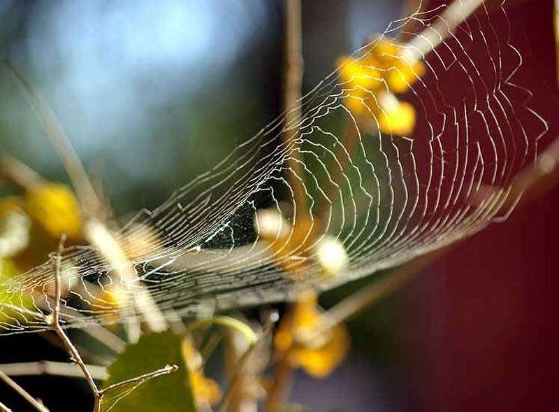 �����. ������� ����� ���� ������������ �� PhotoGeek.ru #������ ��� �������
