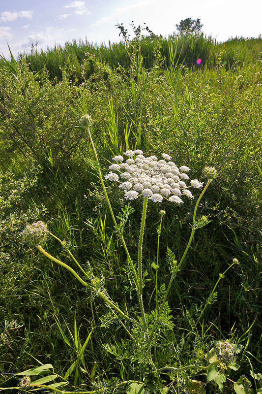 ����� ����� ���� ������������ �� PhotoGeek.ru #������ ��� �������