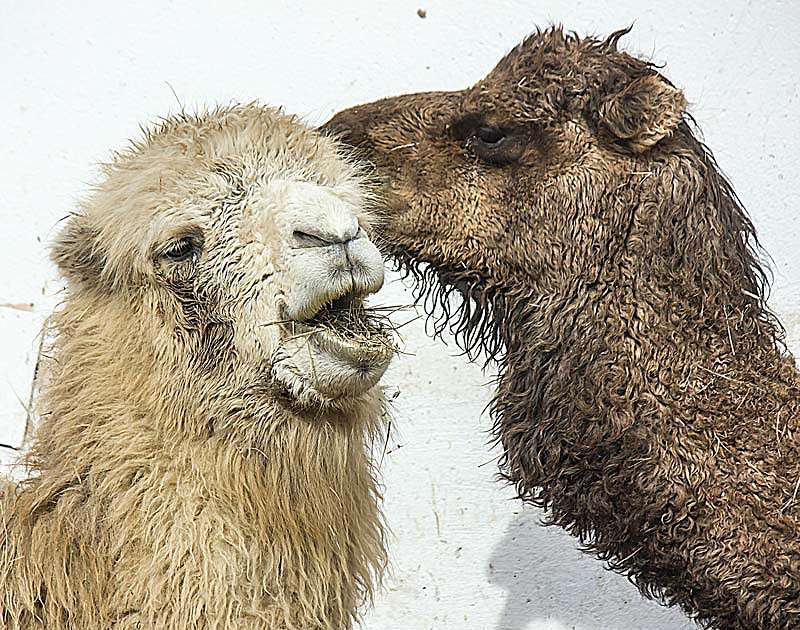 �� ������� ����� ���� ������������ �� PhotoGeek.ru #�������� ���