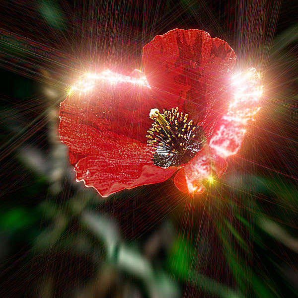 ��� ����� ���� ������������ �� PhotoGeek.ru #������ ��� �������