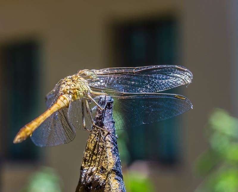 �������� ����� ���� ������������ �� PhotoGeek.ru #�������� ���