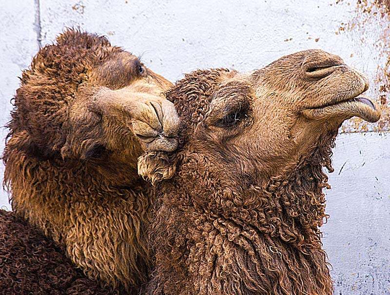 �������� ����� ���� ������������ �� PhotoGeek.ru #�������� ���