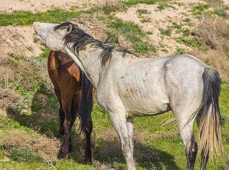 �������� ���� ����� ���� ������������ �� PhotoGeek.ru #�������� ���