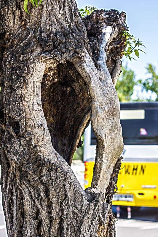 ������ ����� ���� ������������ �� PhotoGeek.ru #�����