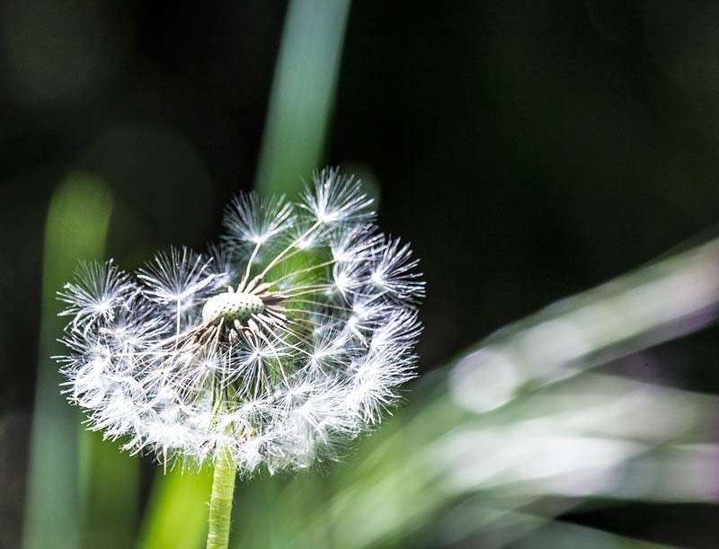 ��������� ����� ���� ������������ �� PhotoGeek.ru #�����