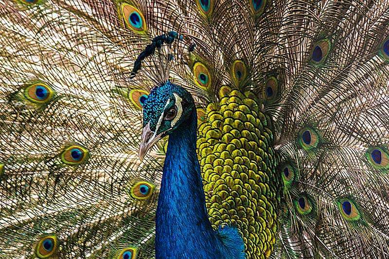 ������ ����� ���� ������������ �� PhotoGeek.ru #�������� ���