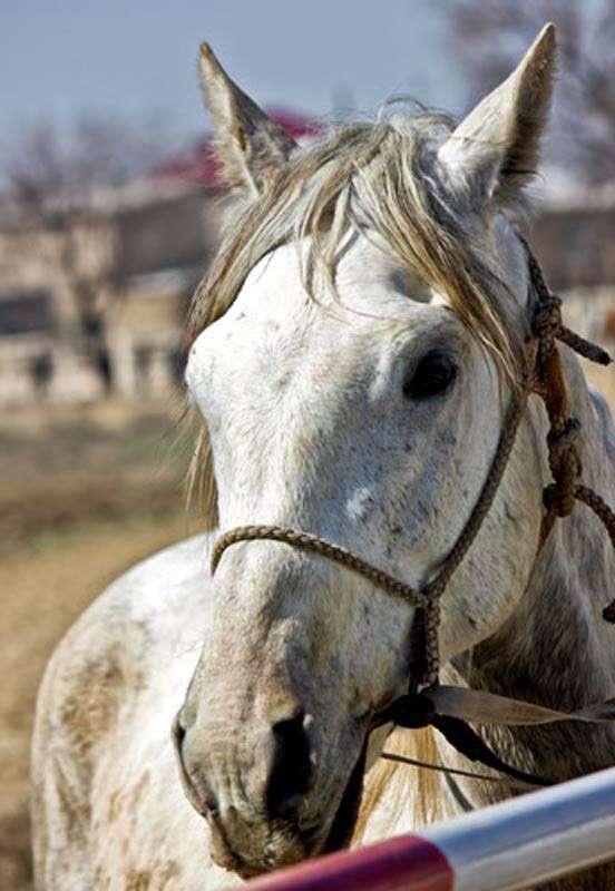 ������� ����� ���� ������������ �� PhotoGeek.ru #�������� ���