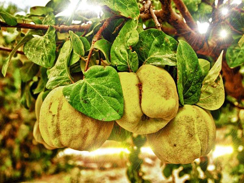 ���� ����� ���� ������������ �� PhotoGeek.ru #������ ��� �������