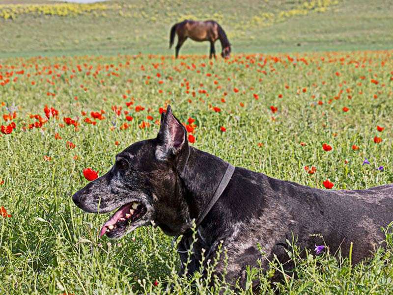 �����. ����� ����� ���� ������������ �� PhotoGeek.ru #������ ��� �������