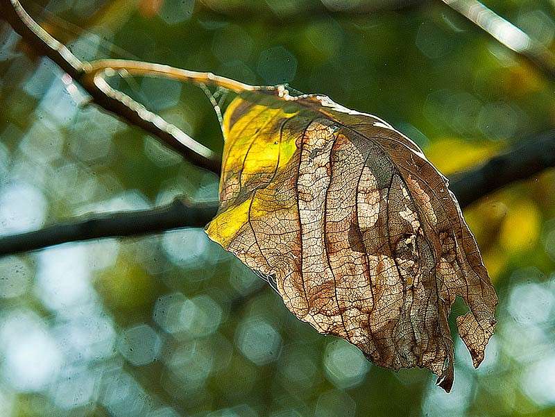 �����. ��������� ���� ����� ���� ������������ �� PhotoGeek.ru #������ ��� �������