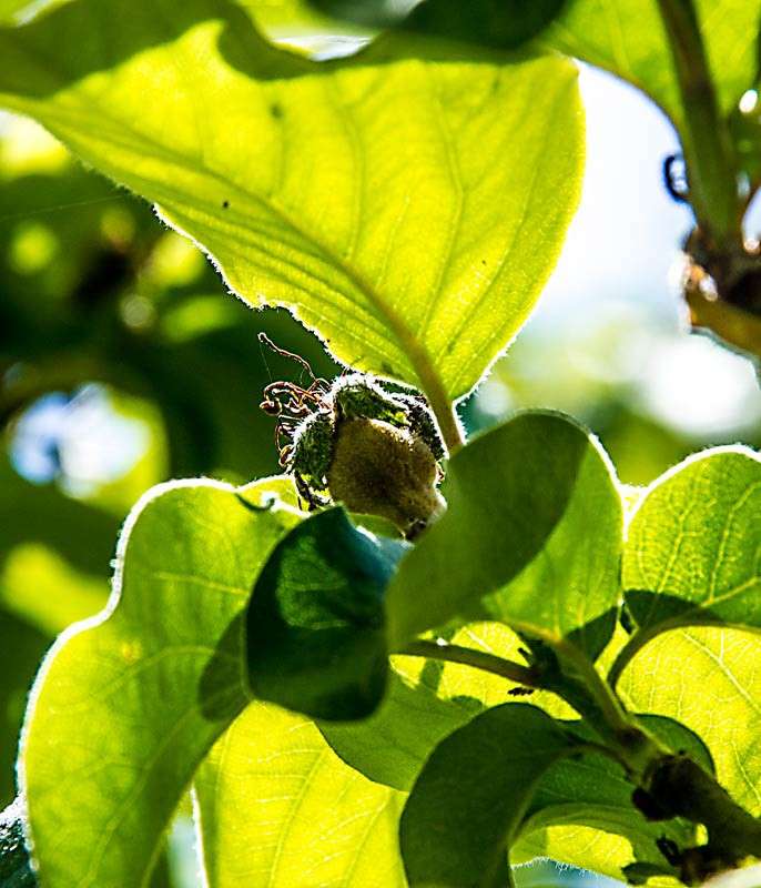 �������� ���� ����� ���� ������������ �� PhotoGeek.ru #������ ��� �������