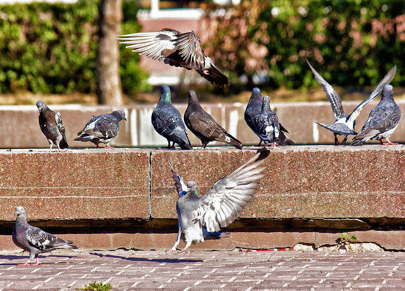 ����� ����� ���� ������������ �� PhotoGeek.ru #�����