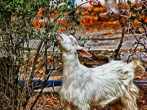 ���� ����� ���� ������������ �� PhotoGeek.ru #�������� ���