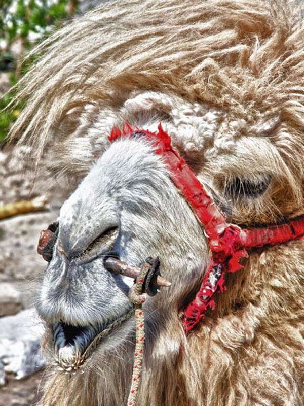 ��������� ��������� ����� ���� ������������ �� PhotoGeek.ru #�������� ���