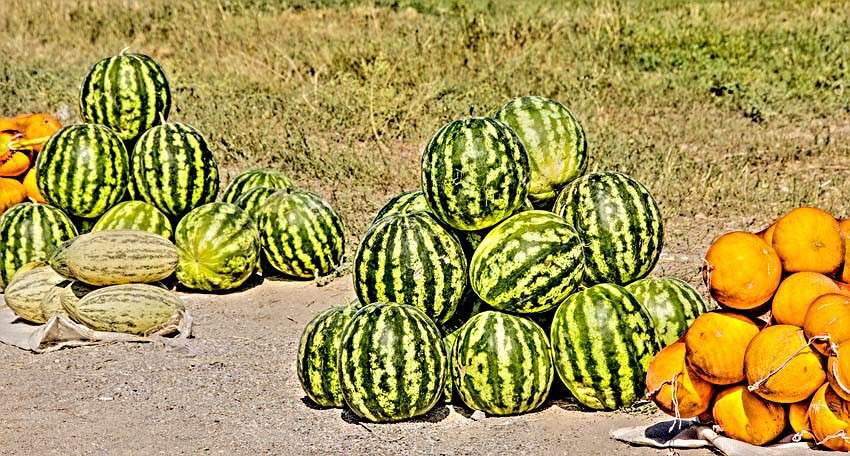 ����. ������ � ���� ������� ����� ���� ������������ �� PhotoGeek.ru #���������