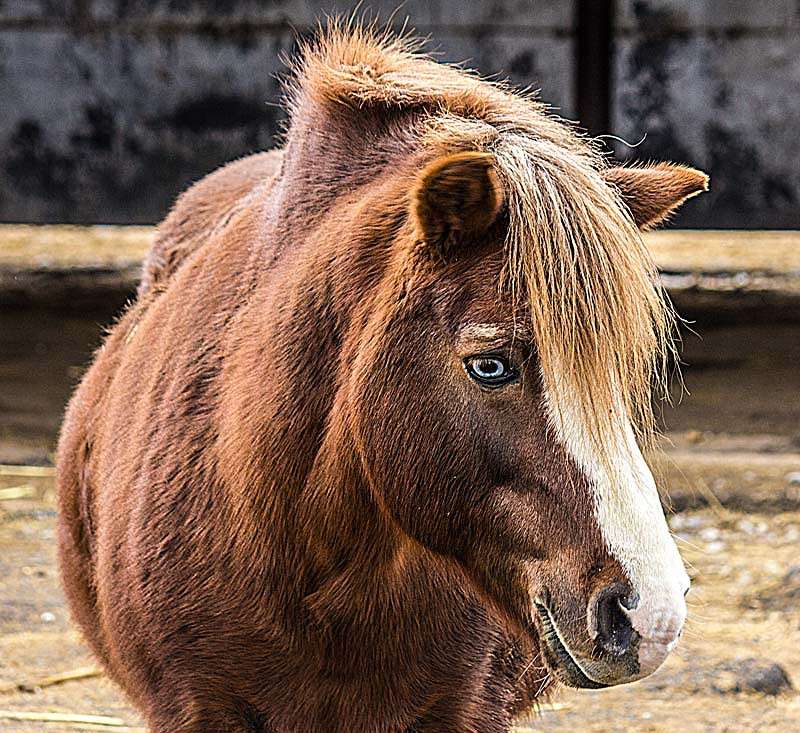 ������������ ����� ���� ������������ �� PhotoGeek.ru #�������� ���