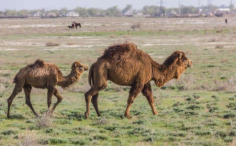 ����� ������� ����� ���� ������������ �� PhotoGeek.ru #�������� ��� #�������� ���