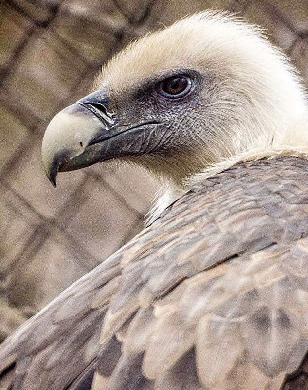 ����������� ����� ���� ������������ �� PhotoGeek.ru #�������� ��� #�������