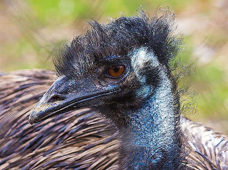 ������ ����� ���� ������������ �� PhotoGeek.ru #�������� ��� #�������