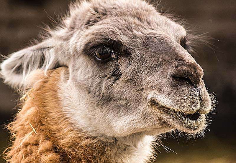 ���� ����� ���� ������������ �� PhotoGeek.ru #�������� ��� #�������