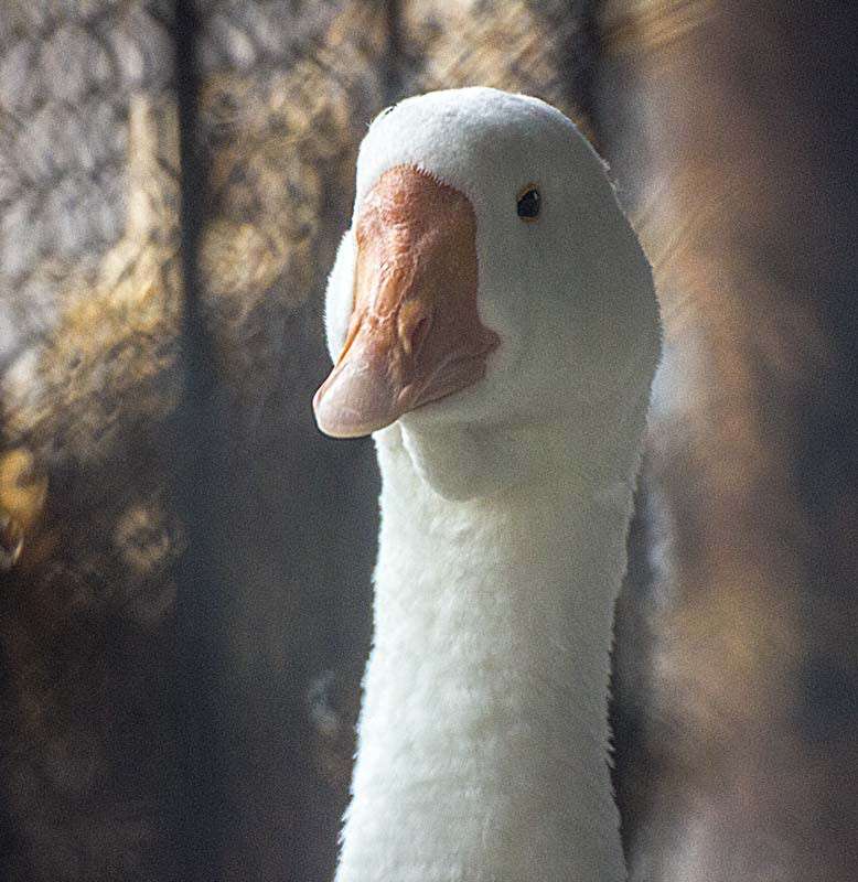 ���� ����� ���� ������������ �� PhotoGeek.ru #�������� ��� #�������