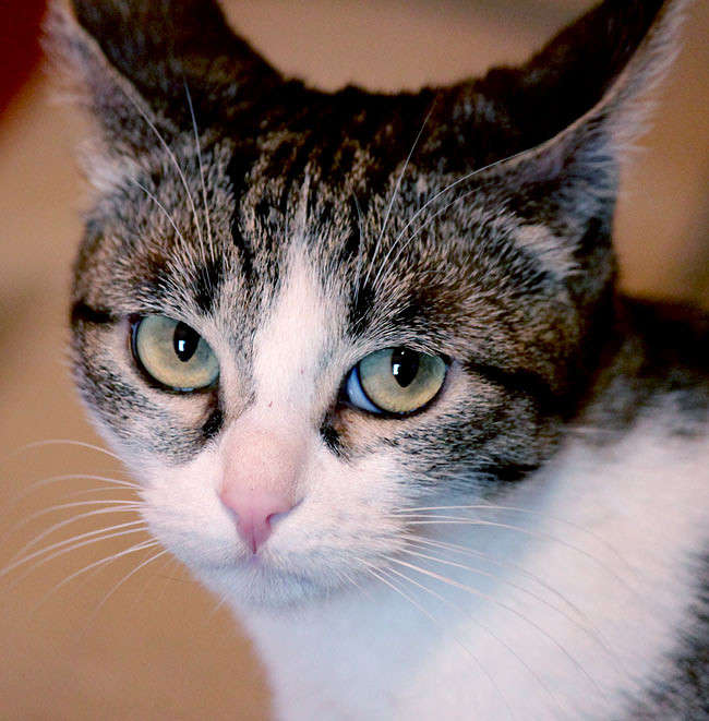 ��, �� �� � ���� �������... ����� ���� ������������ �� PhotoGeek.ru #�������� ��� #�������� ���