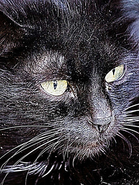 ������ ��� ����� ���� ������������ �� PhotoGeek.ru #�������� ��� #������� #�������� ���