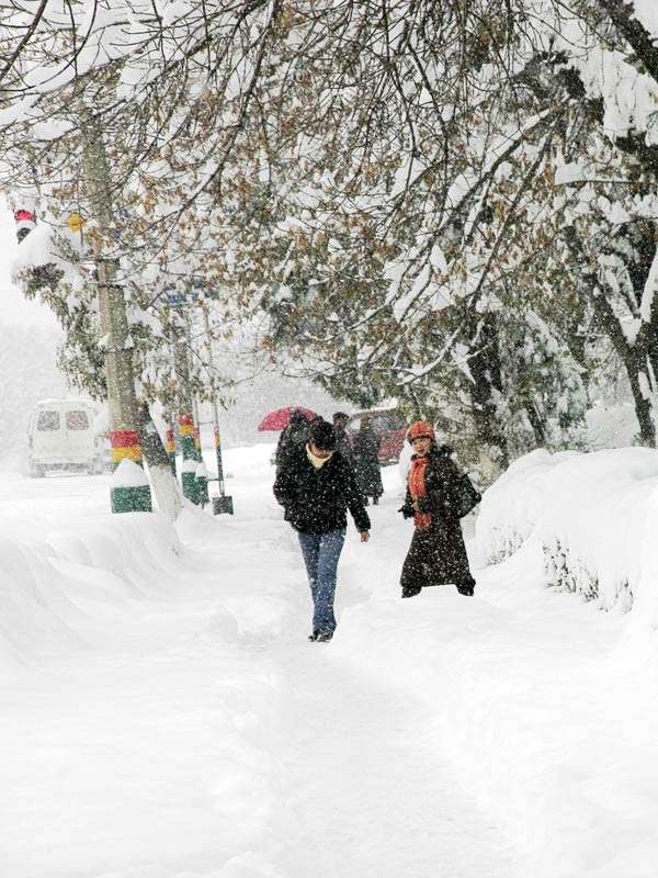 ����. ���� ����� ���� ������������ �� PhotoGeek.ru #�����