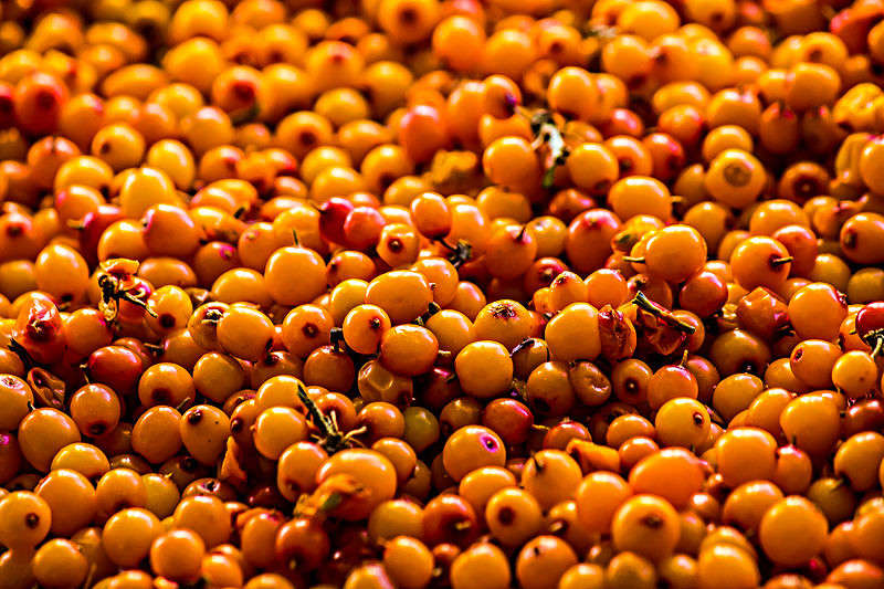 �������� ����� ����� ���� ������������ �� PhotoGeek.ru #��������� #���������������